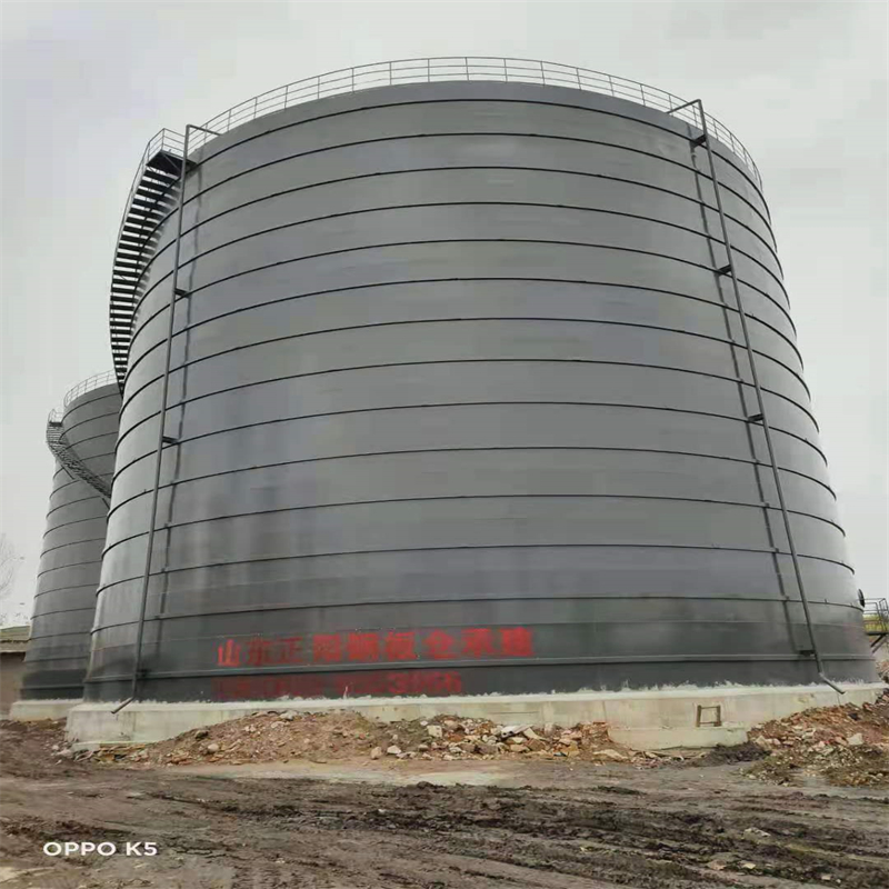 双塔3万吨大型钢板库